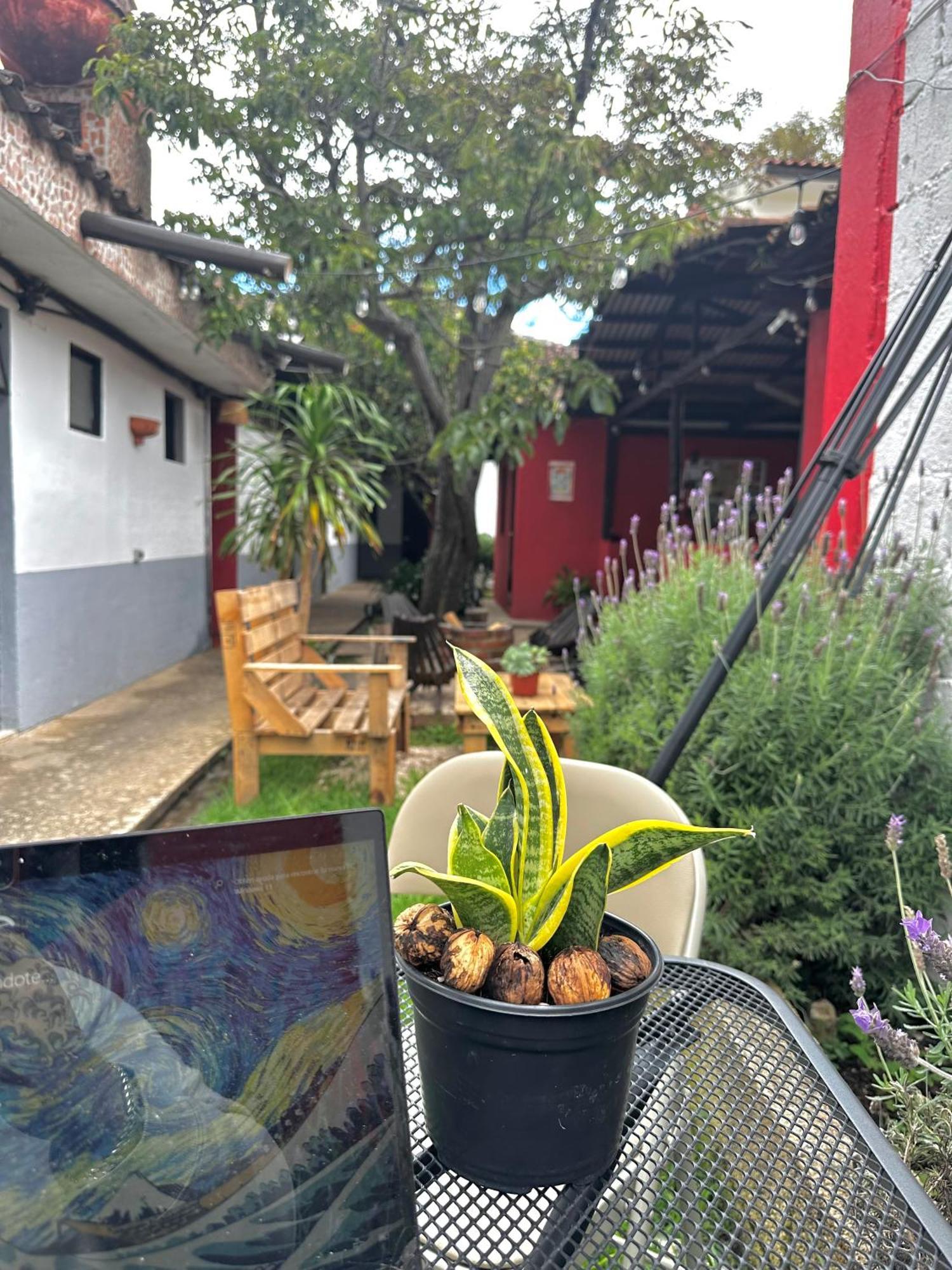 Berlin61 Hotell San Cristóbal de Las Casas Eksteriør bilde